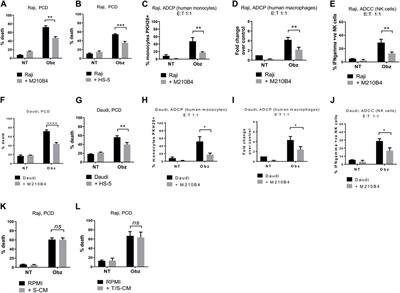 Stromal cell inhibition of anti-CD20 antibody mediated killing of B-cell malignancies